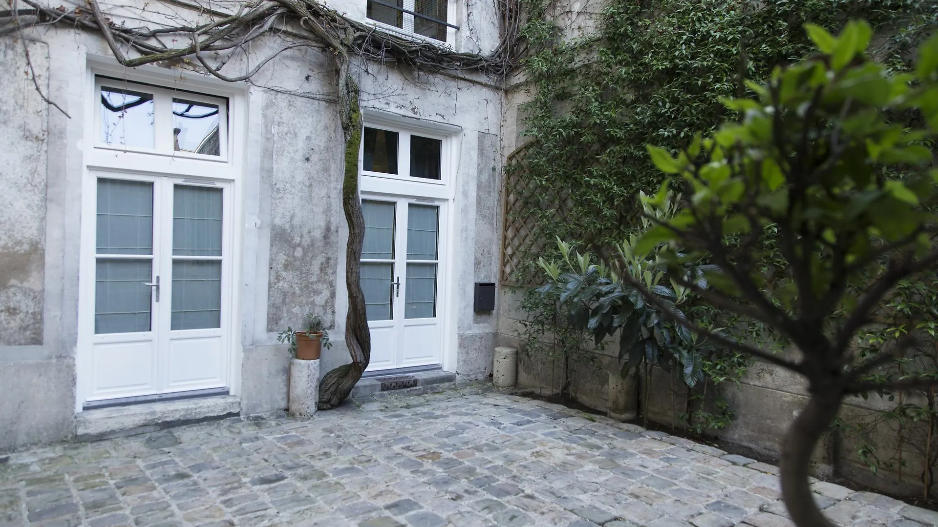 Saint-germain Des Pres 2